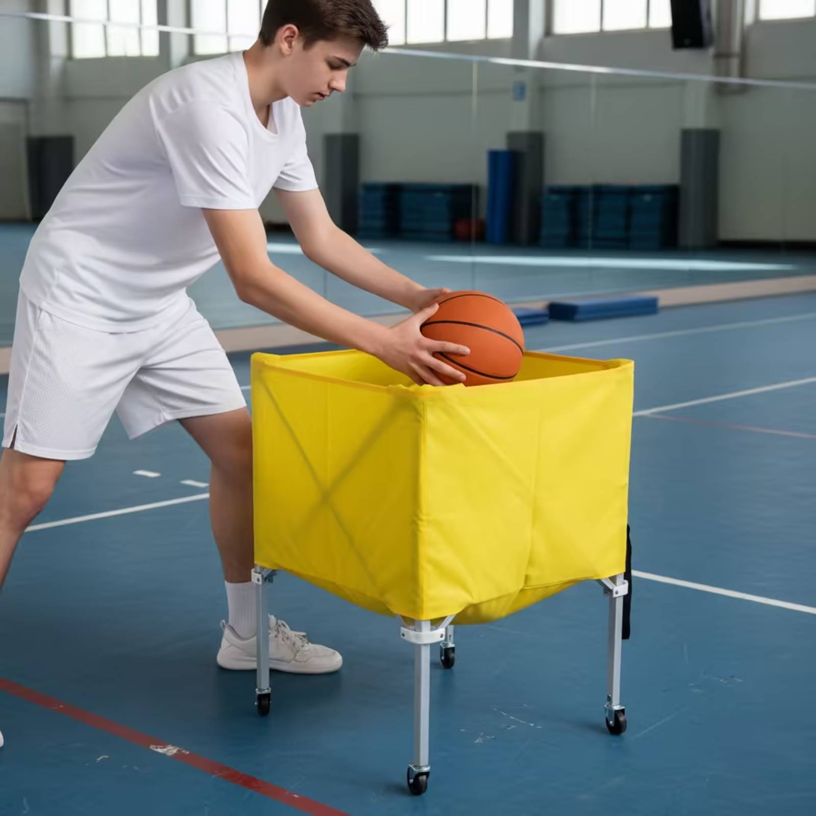Carrinho de Bolas Dobrável Lev - Gym Ball avaliação e preço